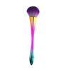 Brosse à poussière professionnelle colorée