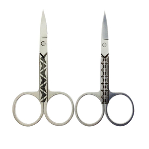 Eye-brouillard en acier inoxydable Eyebrouts Nose Coiffeur Tondeuse à ongles Supprimer des outils